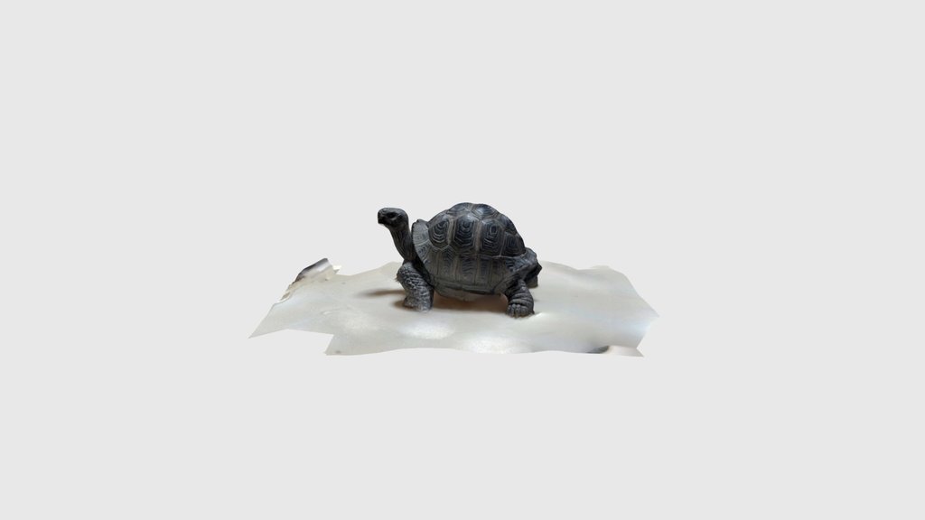 a tortoise figurine