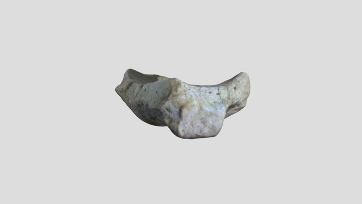 ABDSP_165.0_v672.1 3D Model