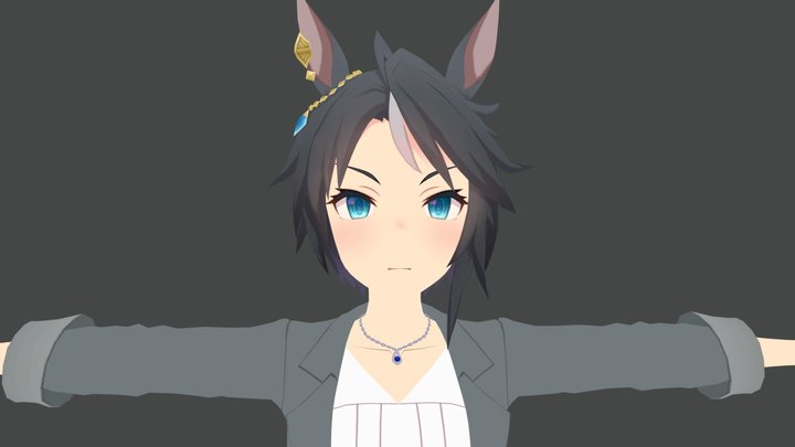 (Umamusume) Fuji Kiseki Casual