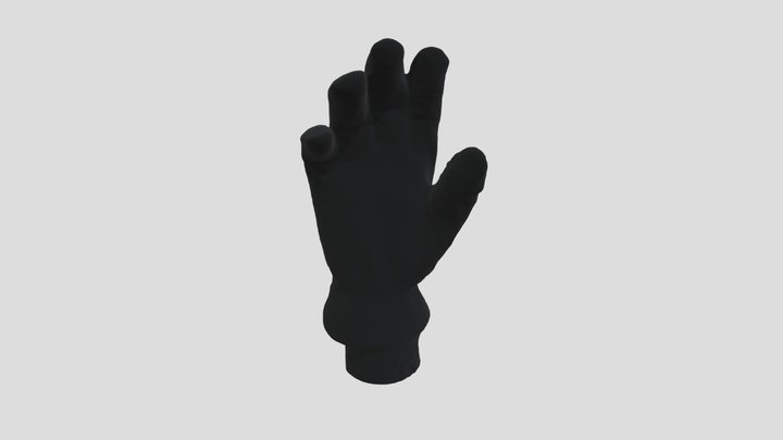 Glove Test 3D Model