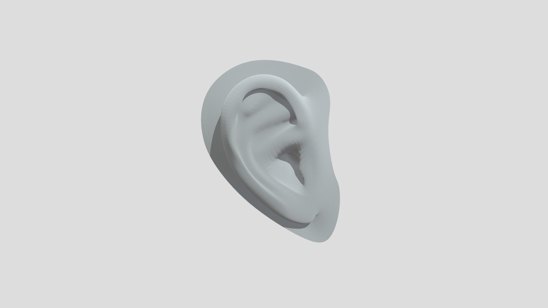 AUSS | AN EAR - Download Free 3D model by rebeka.eva.jaunkalne [f7281cd ...