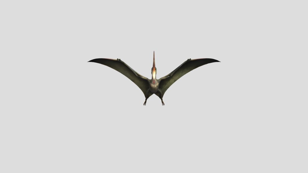 A prehistoric pterosaur