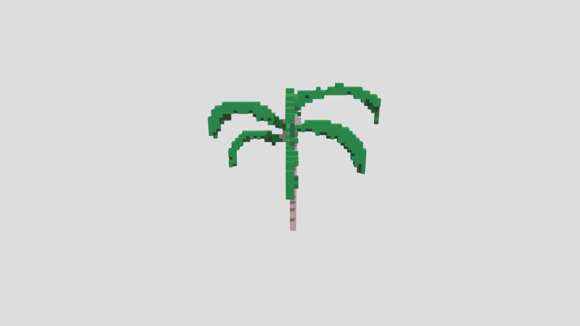 palma
