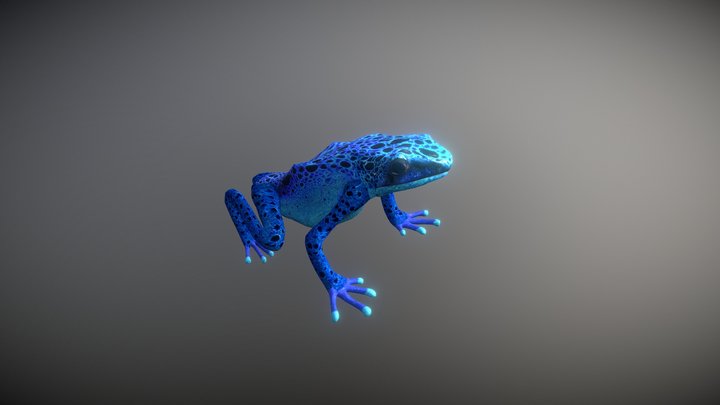 Animated Frog 3D Animal | 20+ Animations – Modello 3D gratuito STL