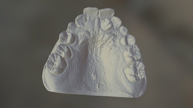 SL29 Upper 3D Model