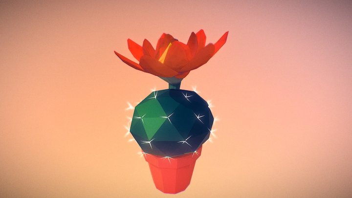 Low Poly Cactus Flower 3D Model