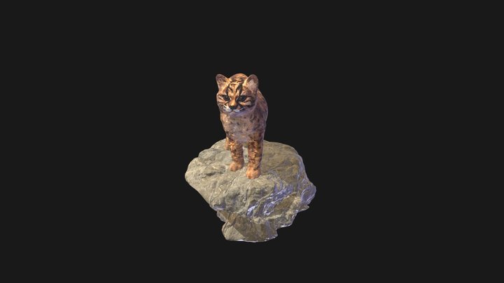 Guiña 3D Model