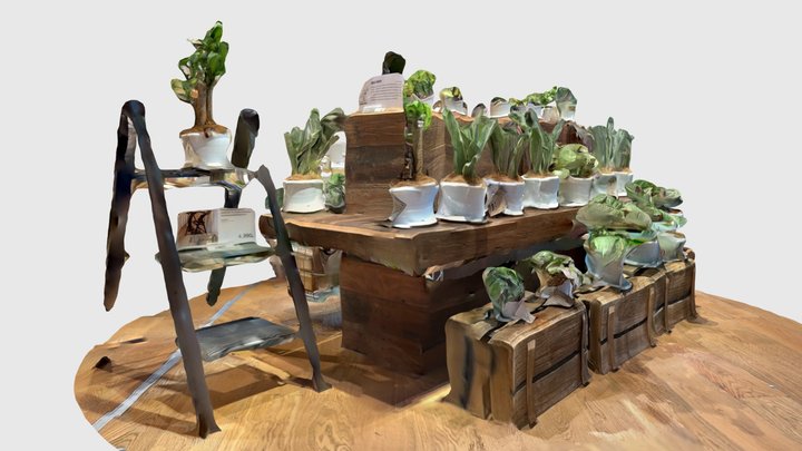 Houseplant sales area 3D Model