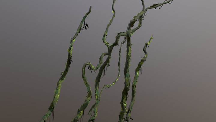 Kusunda-Tree-Lianas_01-1 3D Model