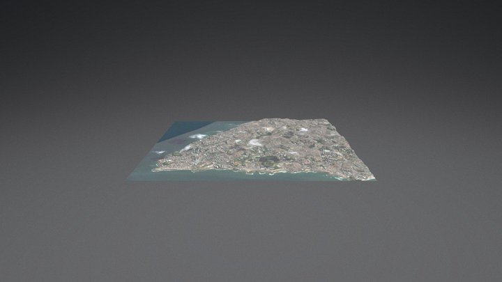 salvador 3D Model