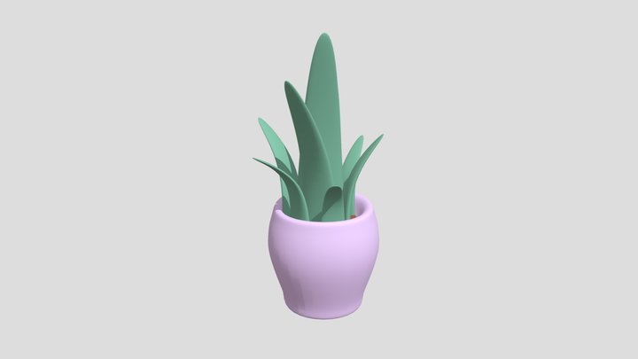 Aloe Plant 3D Model
