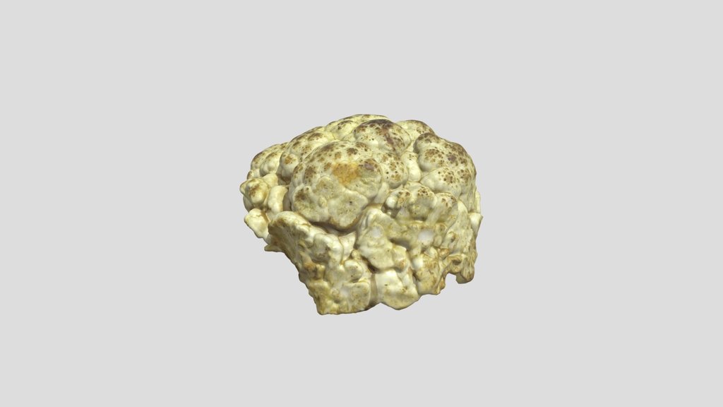 Cauliflower Scan