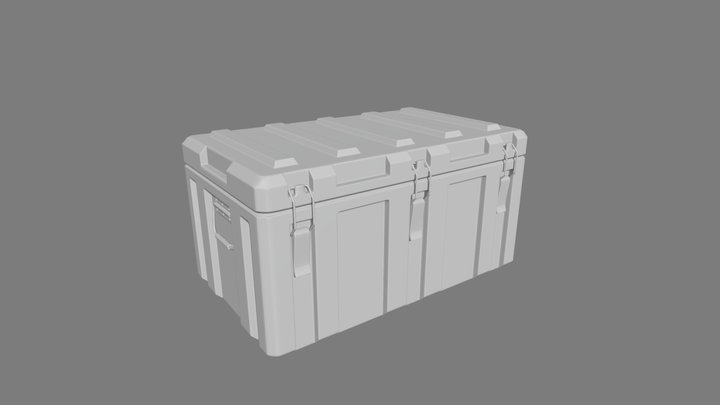 Case02 3D Model