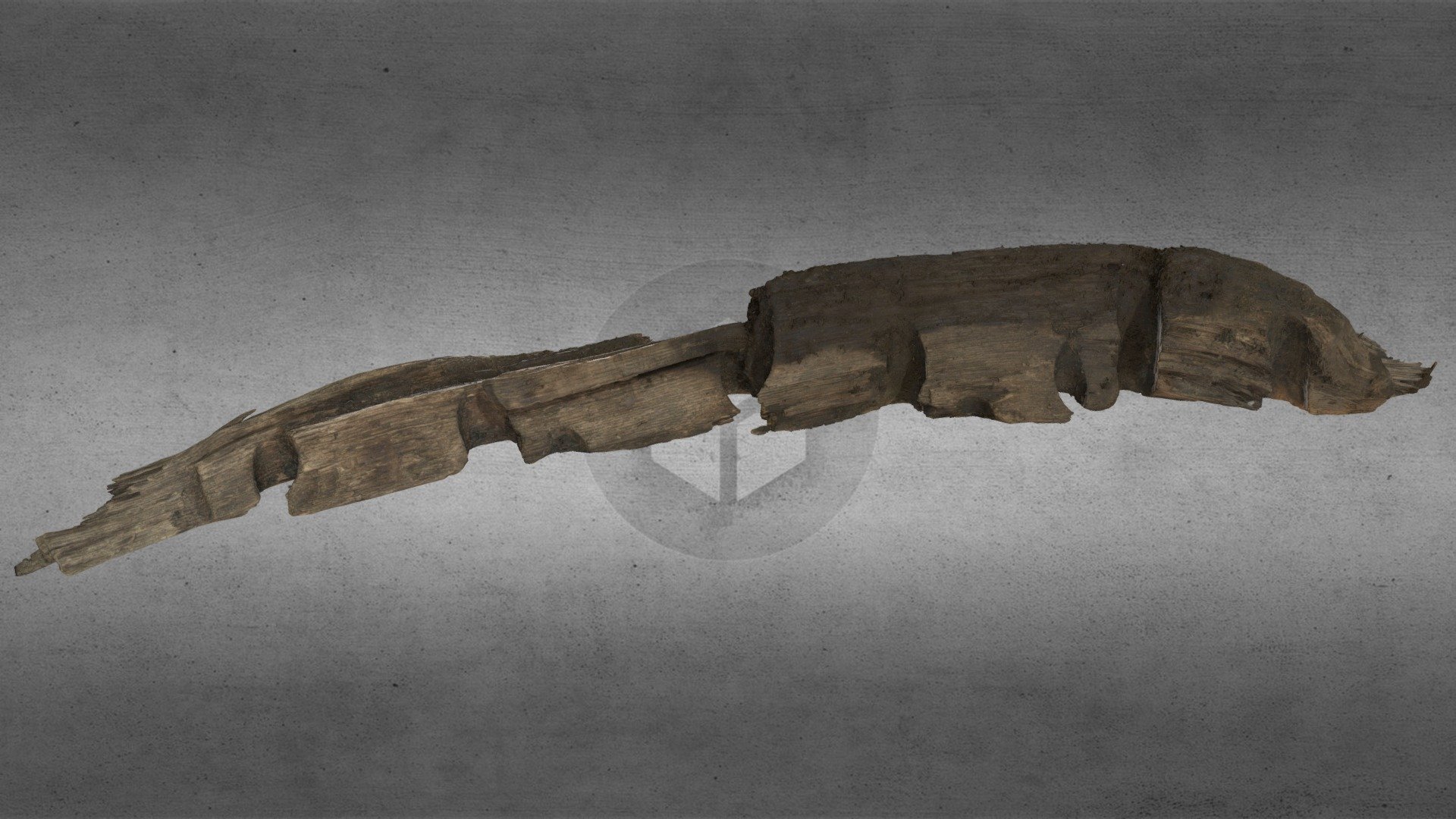 Skipsvrak ,Træ 5