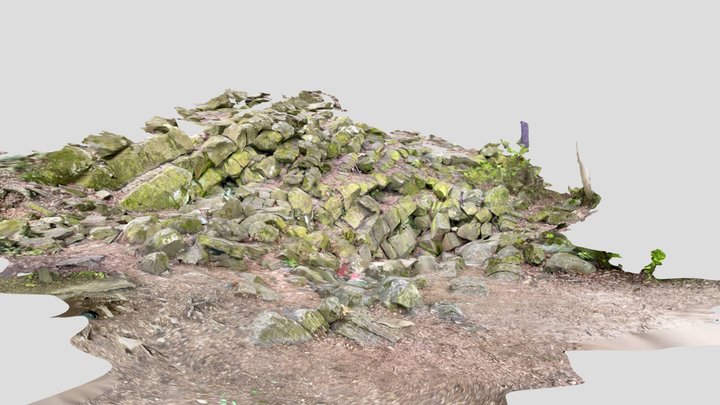 Dragon Lair rocks 3D Model