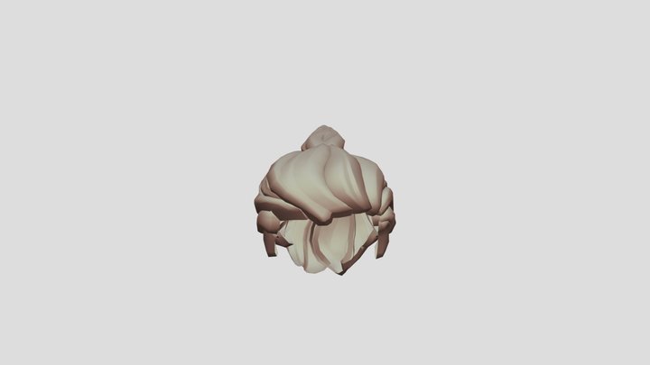 hair 3D Model