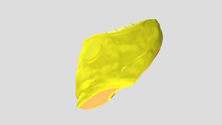 Medial Cuneiform 3D Model