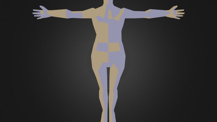 Full Body 3D Model