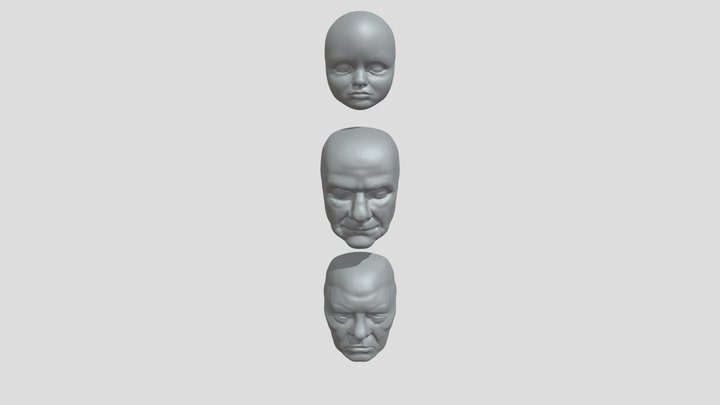 HW3 3 facial masks 3D Model