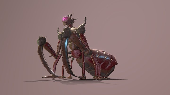 Elite worker bug 3D Model