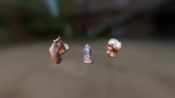 Model 4 3D Model