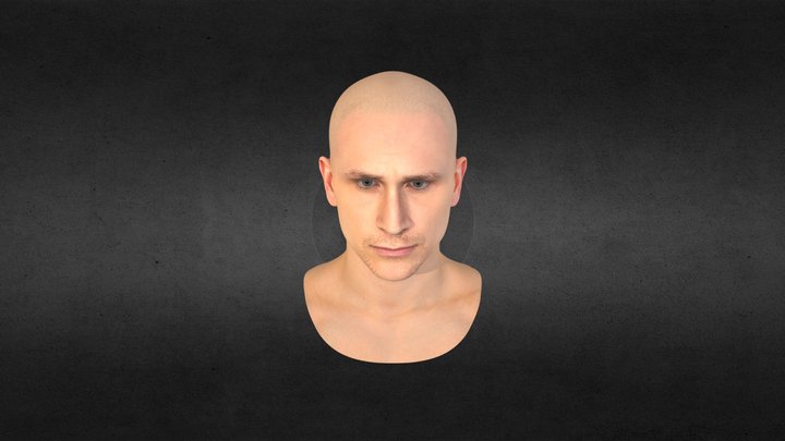 Photorealistic head  +  Rig. 3D Model