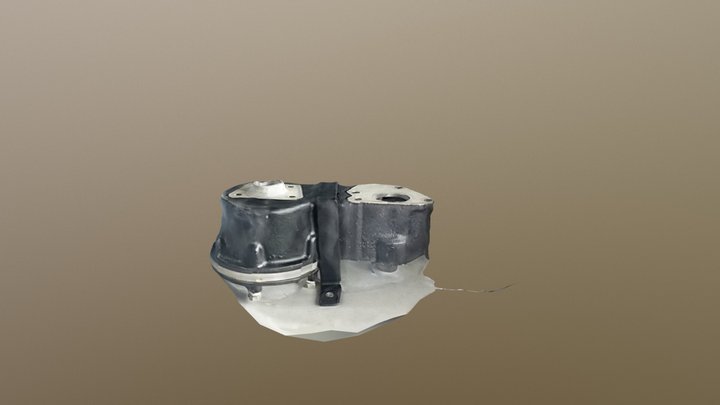 Practice scan 3D Model