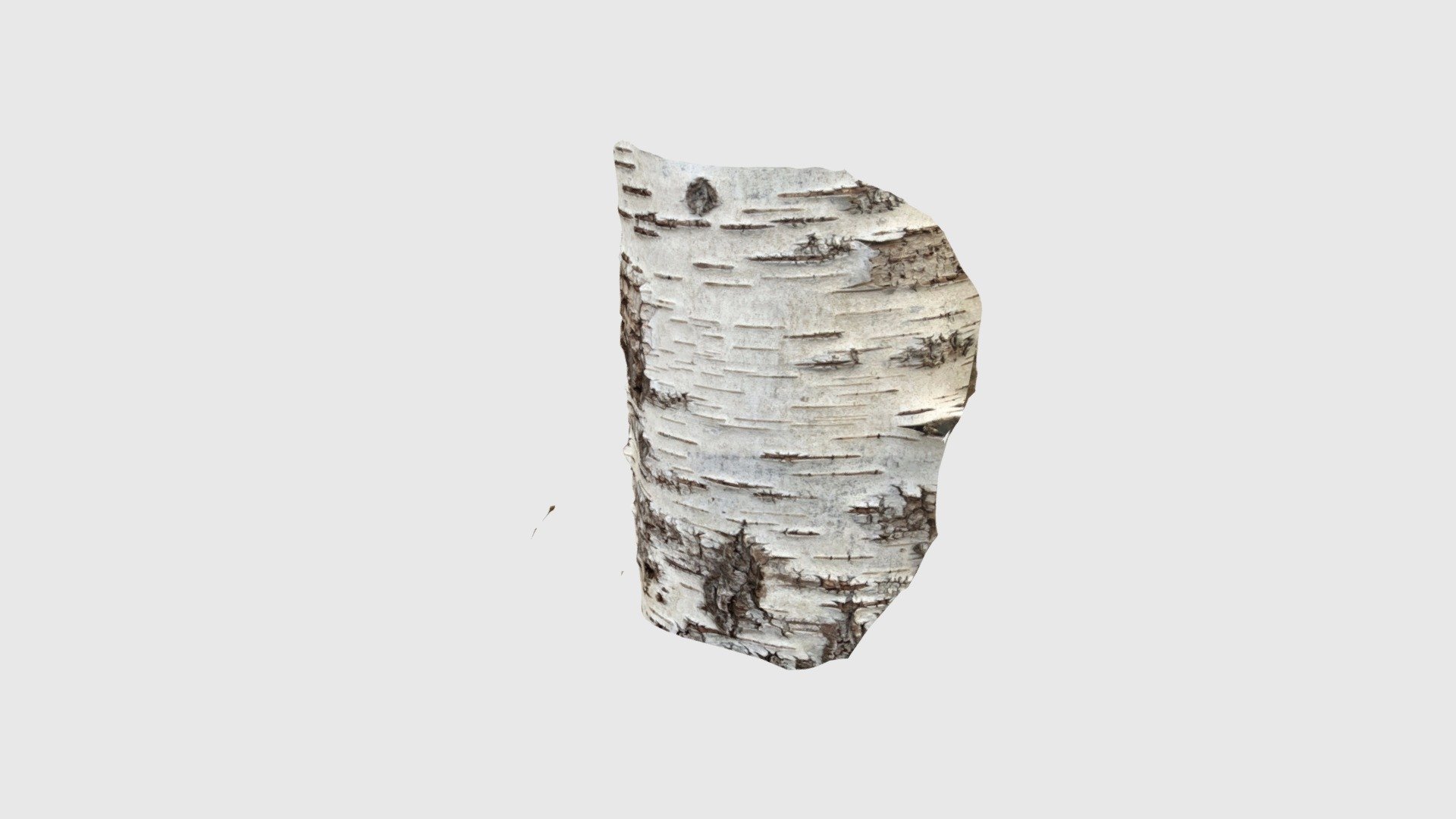 Birch2203250853
