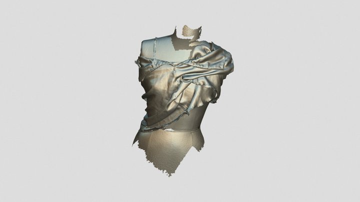 scan3flowerdressnotwatertight 3D Model