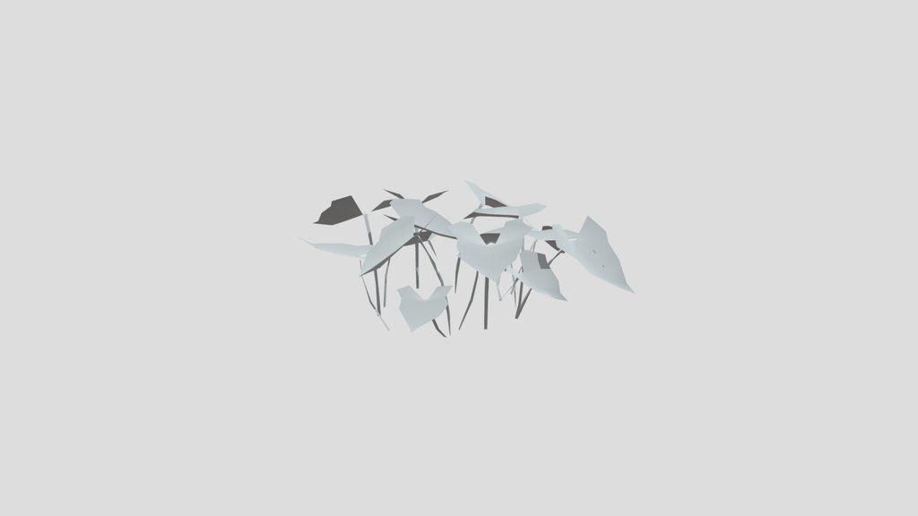 Ground Cover Broad Leaves Sml