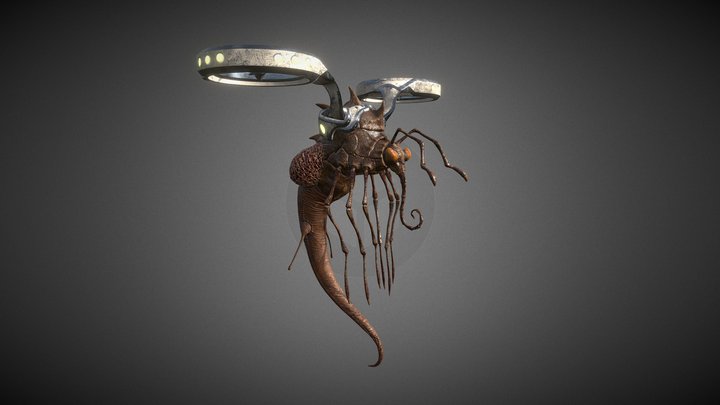 Insect Texturing 3D Model