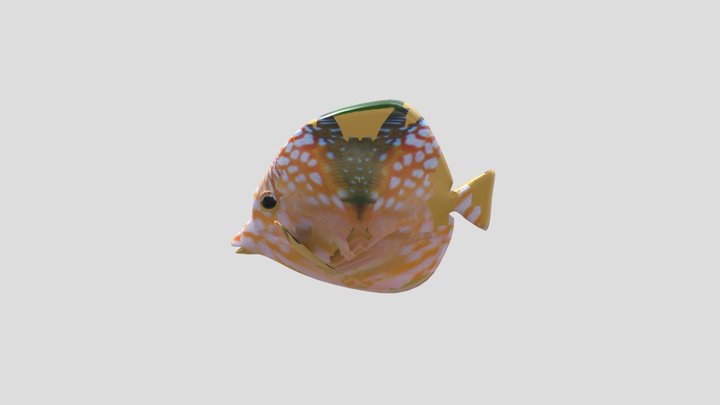 Fish 3D Model