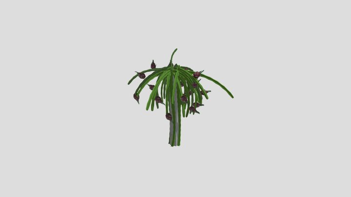 full_tree 3D Model