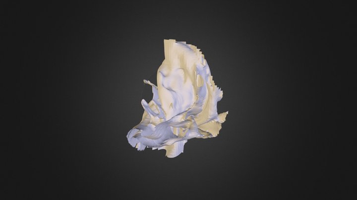 Two Level Disk Plot 3D Model