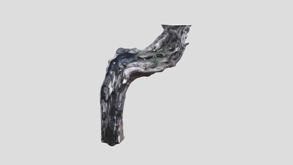 Fantsy Tree