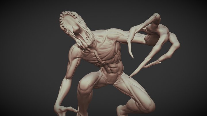 Minor Shadow 3D Model