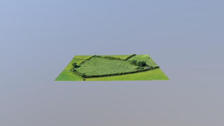 Lower Church House - Field Photogrammetry 3D Model
