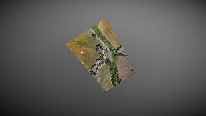 odm_Isula 3D Model