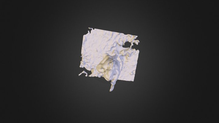 Ortofoto_Matamua 3D Model