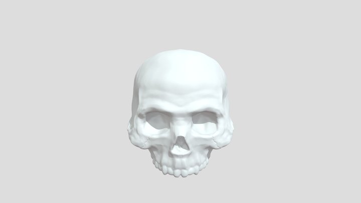 Skull 3D Model