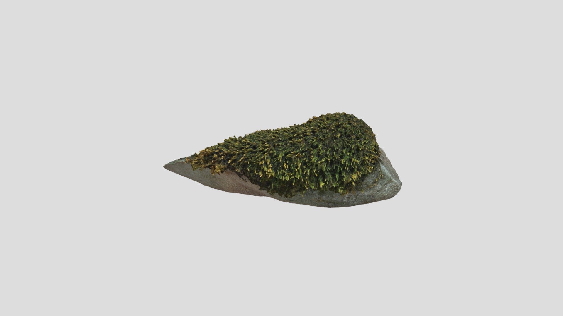 Mossy Rock