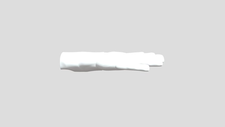 My model 3D Model