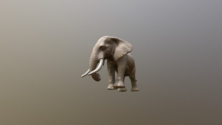 Elephant 3D Model