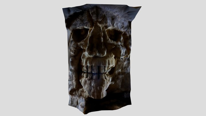 Crâne de Carrara 3D Model