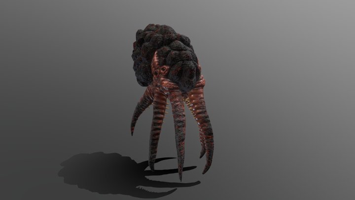 Octopus 3D Model