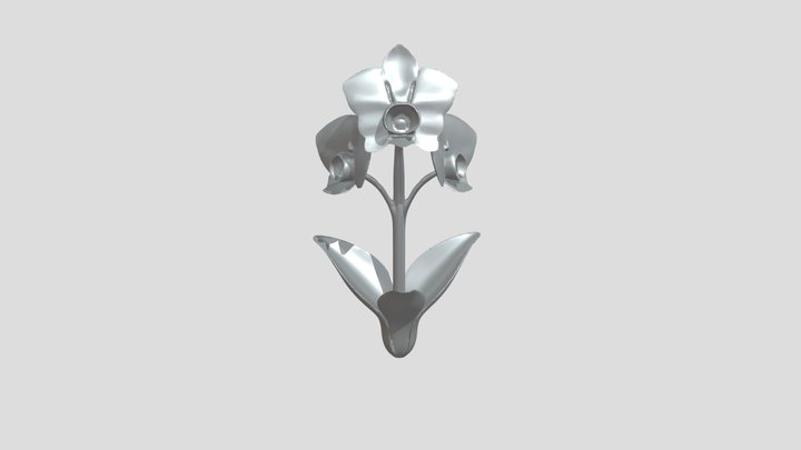White orchid flower 3D Model