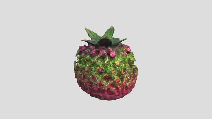 Exotic fruit 4 3D Model