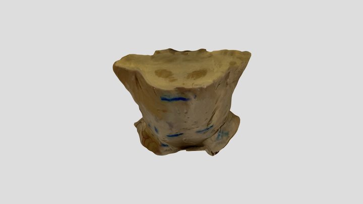 Pons-3 3D Model