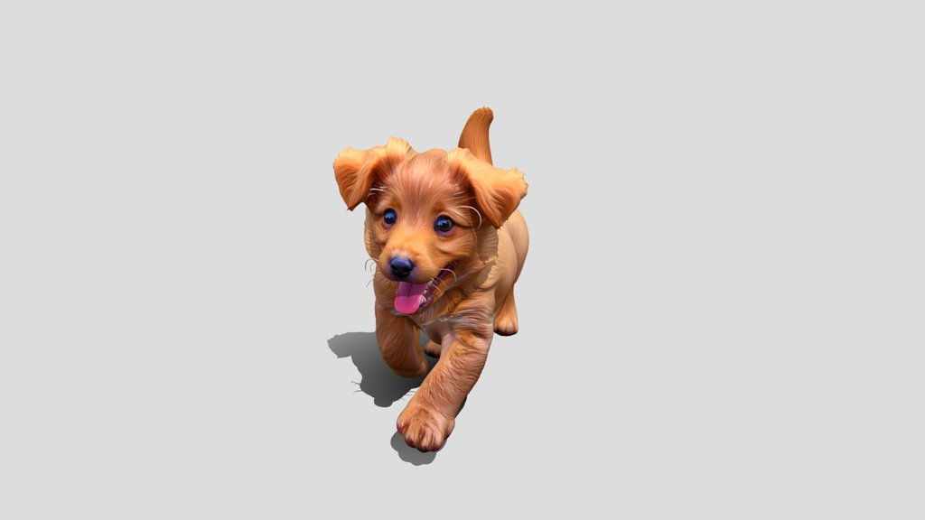 Joyful Golden Puppy Dog 3d model free