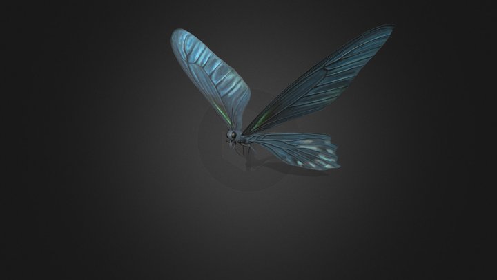 Butterfly_ Animation 3D Model